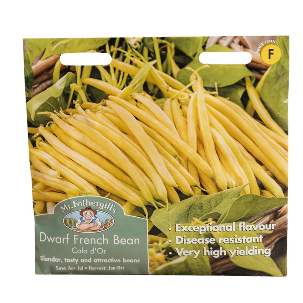 Mr Fothergill's Dwarf (French) Bean Cala D'Or