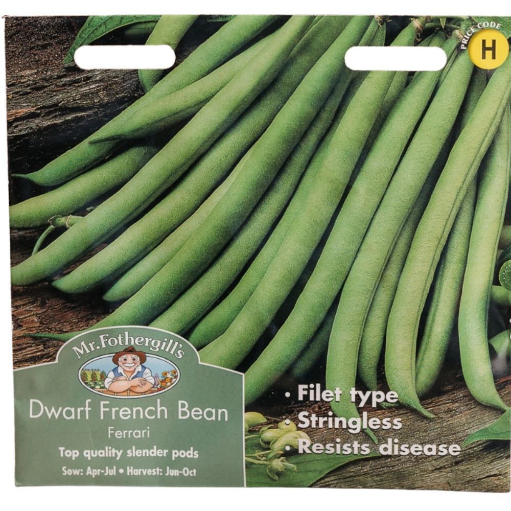 Mr Fothergill's Dwarf French Bean Ferrari Seeds