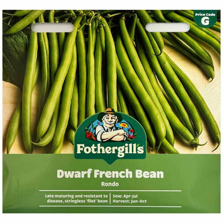 Mr Fothergill's Dwarf French Bean Rondo Seeds - Old Railway Line Garden Centre