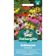 Mr Fothergill's Echinacea Dreamcoat Seeds - Old Railway Line Garden Centre