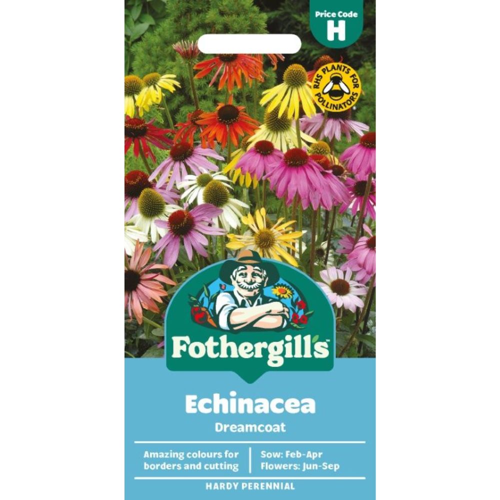 Mr Fothergill's Echinacea Dreamcoat Seeds