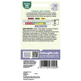 Mr Fothergill's Echinacea Large Coneflower Seeds - Purple