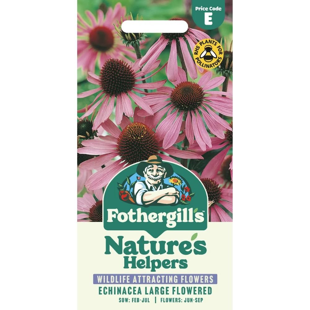 Mr Fothergill's Echinacea Large Coneflower Seeds - Purple - Old Railway Line Garden Centre