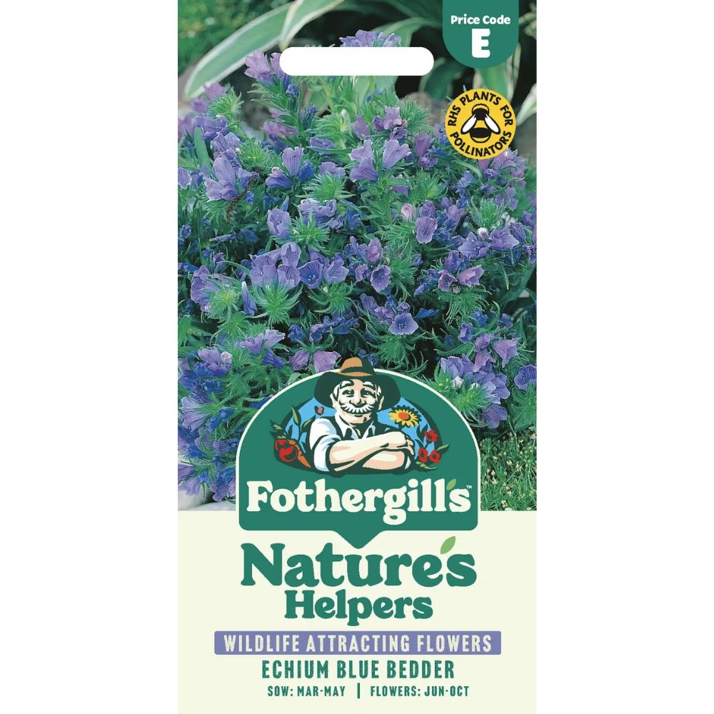 Mr Fothergill's Echium Blue Bedder Seeds