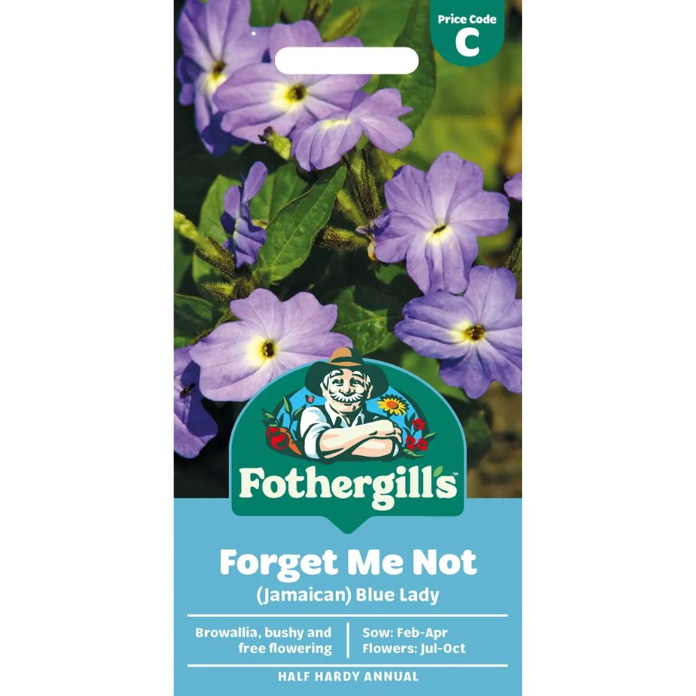 Mr Fothergill's Forget Me Not (Jamaican) Blue Lady Seeds