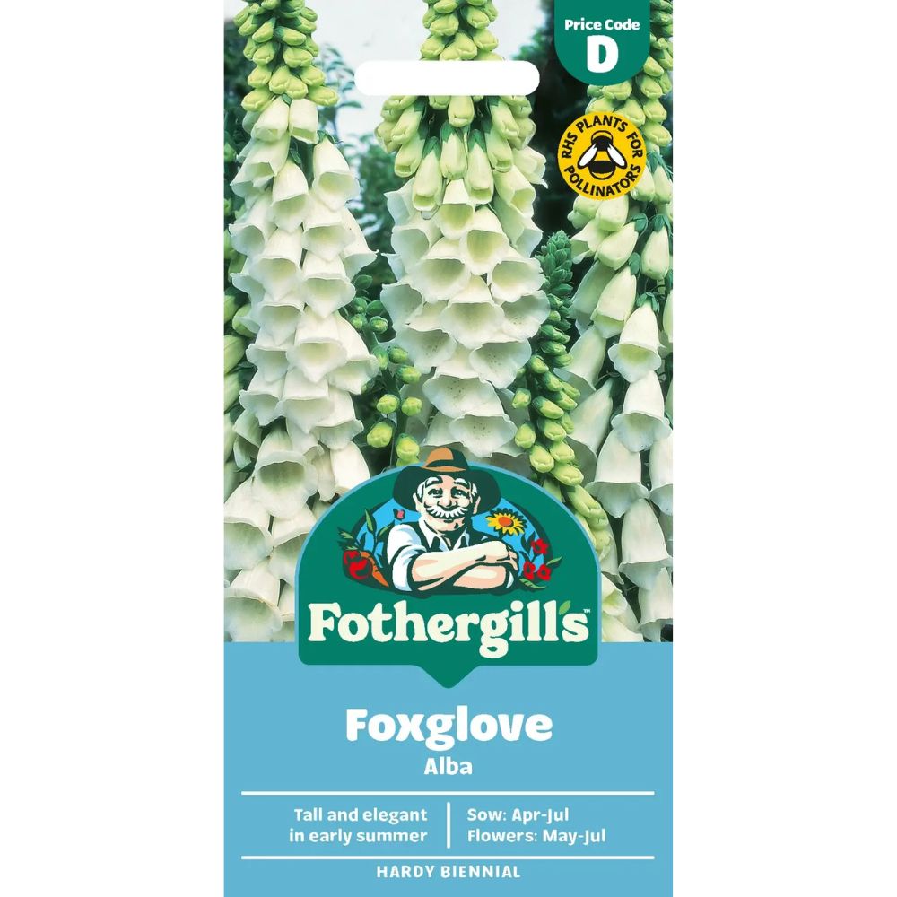 Mr Fothergill's Foxglove Alba Seeds