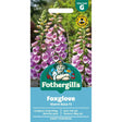 Mr Fothergill's Foxglove Dottie Warm Rose F1 Seeds - Old Railway Line Garden Centre