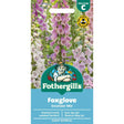 Mr Fothergill's Foxglove Excelsior Mixed Seeds - Old Railway Line Garden Centre