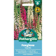 Mr Fothergill's Foxglove Foxy Mixed Seeds - Old Railway Line Garden Centre