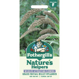 Mr Fothergill's Nature's Helpers Grass Foxtail Millet (Setaria) Hylander Seeds