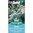 Mr Fothergill's Grass Silver Grass - Miscanthus sinensis Early Hybrids Seeds - Old Railway Line Garden Centre