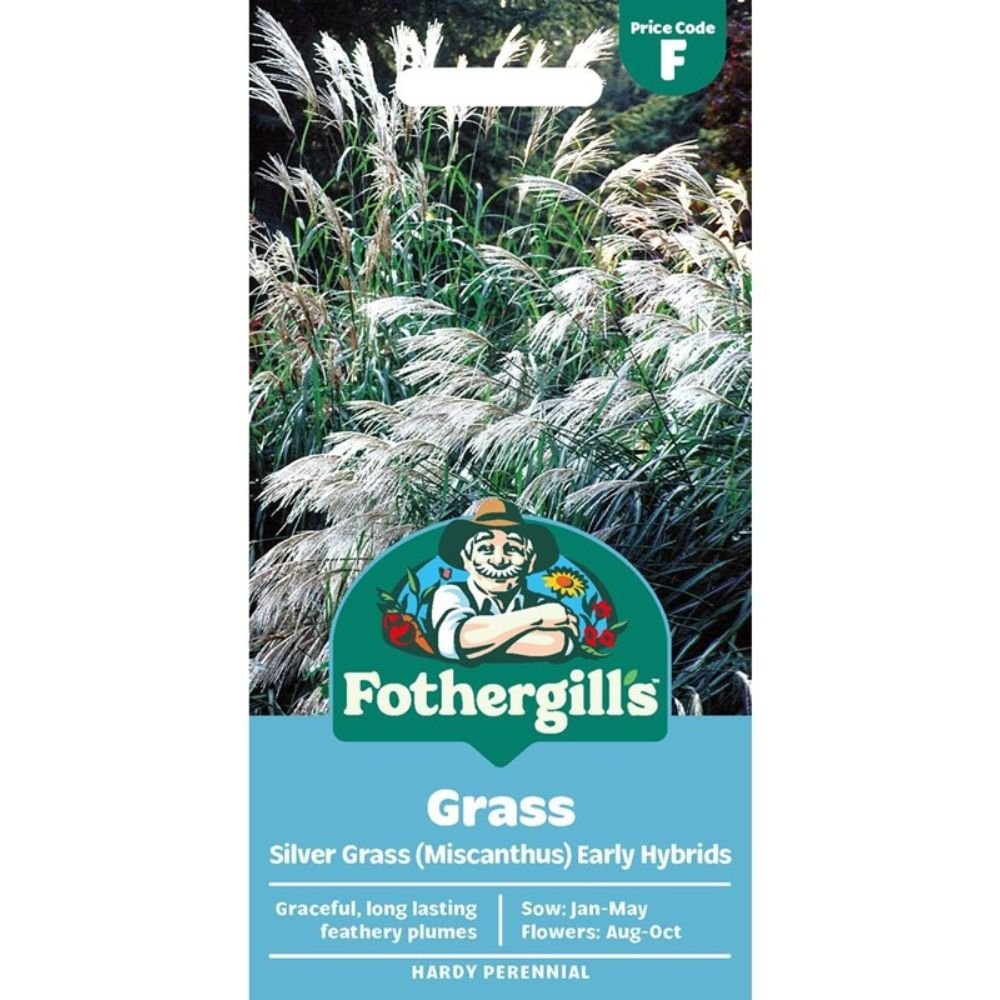 Mr Fothergill's Grass Silver Grass - Miscanthus sinensis Early Hybrids Seeds - Old Railway Line Garden Centre