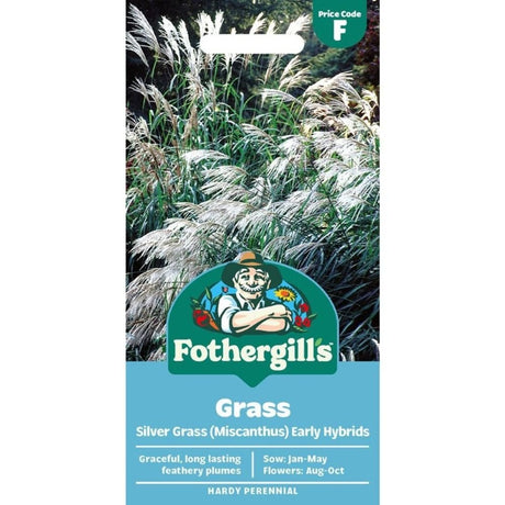 Mr Fothergill's Grass Silver Grass - Miscanthus sinensis Early Hybrids Seeds - Old Railway Line Garden Centre