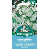 Mr Fothergill's Gypsophila Monarch Seeds - White