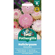 Mr Fothergills Helichrysum Silvery Rose Seeds - Old Railway Line Garden Centre