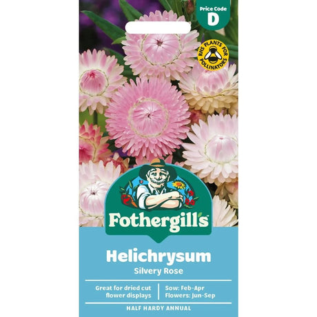 Mr Fothergills Helichrysum Silvery Rose Seeds - Old Railway Line Garden Centre