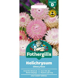 Mr Fothergills Helichrysum Silvery Rose Seeds