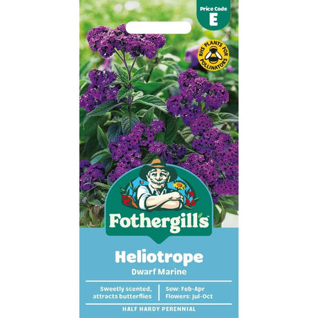 Mr Fothergill's Heliotrope Dwarf Marine Seeds - Old Railway Line Garden Centre