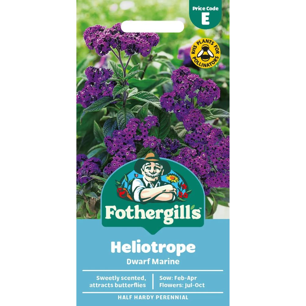 Mr Fothergill's Heliotrope Dwarf Marine Seeds