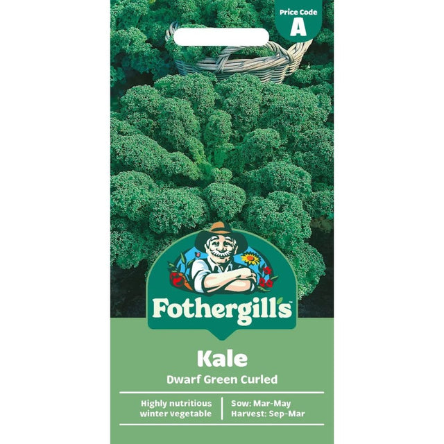Mr Fothergill's Kale Dwarf Green Curled Seeds - Old Railway Line Garden Centre