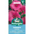 Mr Fothergills Lavatera Ruby Regis Seeds - Old Railway Line Garden Centre