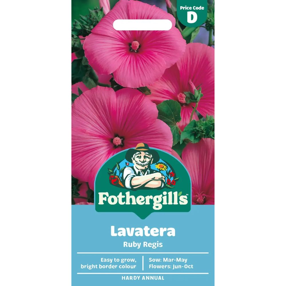 Mr Fothergills Lavatera Ruby Regis Seeds