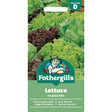 Mr Fothergill's Lettuce Headed Mixed Seeds - Old Railway Line Garden Centre