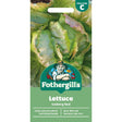 Mr Fothergill's Lettuce Iceberg Red Seeds - Old Railway Line Garden Centre