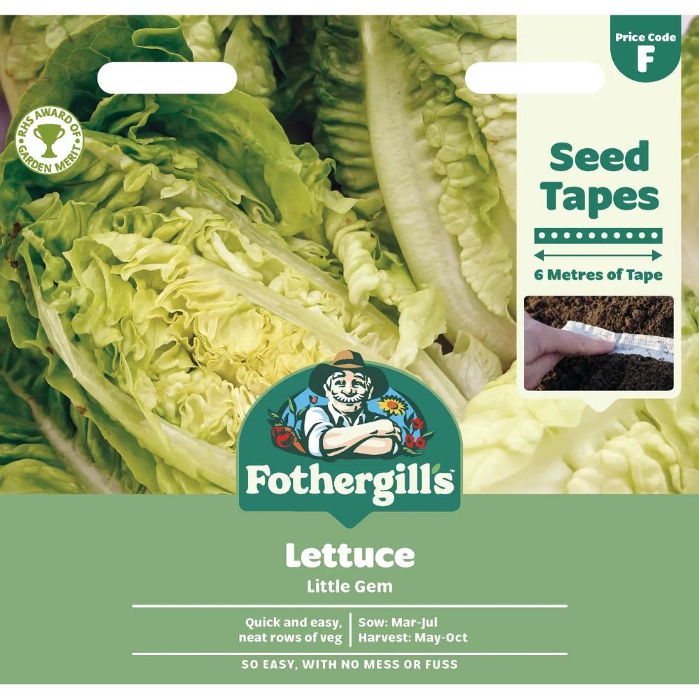 Mr Fothergill's Lettuce Little Gem Seed Tape Seeds