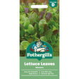 Mr Fothergill's Lettuce Mixed Salad Leaves Seeds - Old Railway Line Garden Centre