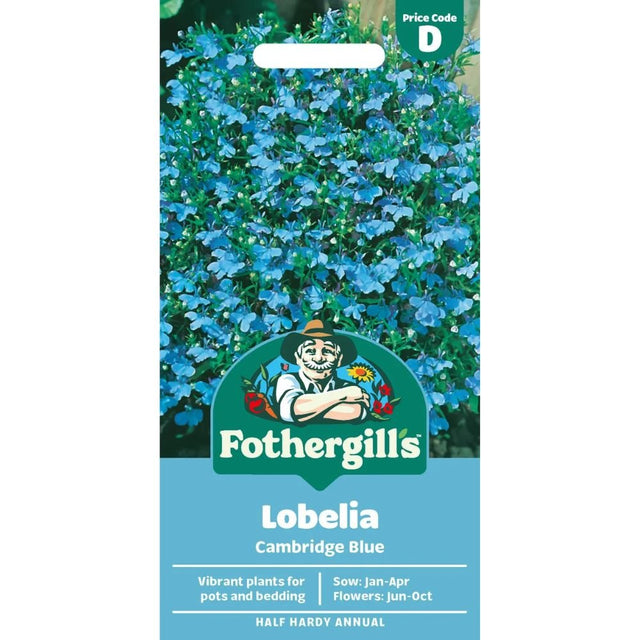 Mr Fothergill's Lobelia Cambridge Blue Seeds - Old Railway Line Garden Centre