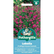 Mr Fothergill's Lobelia Crimson Fountain Seeds - Old Railway Line Garden Centre