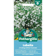 Mr Fothergill's Lobelia White Fountain Seeds - Old Railway Line Garden Centre