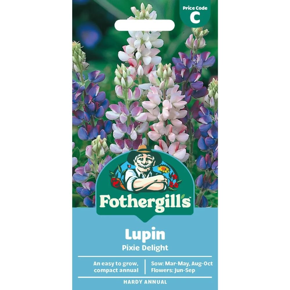Mr Fothergill's Lupin Pixie Delight Seeds - Old Railway Line Garden Centre