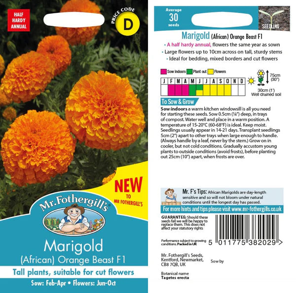 Mr Fothergills Marigold (African) Orange Beast F1 Flower Seeds