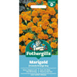 Mr Fothergill's Marigold (French) Orange Boy Seeds - Old Railway Line Garden Centre