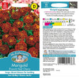 Mr Fothergills Marigold (French) Red Cherry Seeds - Old Railway Line Garden Centre