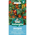 Mr Fothergill's Marigold (French) Red Knight Seeds - Old Railway Line Garden Centre