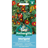 Mr Fothergill's Marigold (French) Red Knight Seeds