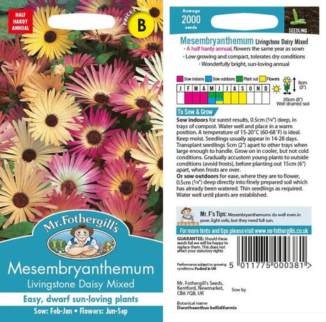 Mr Fothergills Mesembryanthemum Livingstone Daisy Mixed Seeds - Old Railway Line Garden Centre