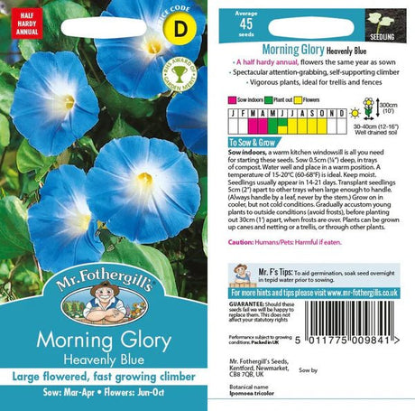 Mr Fothergills Morning Glory Heavenly Blue Seeds - Old Railway Line Garden Centre