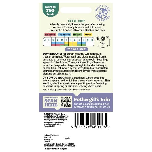 Mr Fothergills Nature's Helpers Chrysanthemum Ox Eye Daisy Seeds