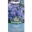 Mr Fothergill's Nemesia Blue Gem Seeds - Old Railway Line Garden Centre