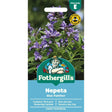 Mr Fothergill's Nepeta Blue Panther Seeds - Old Railway Line Garden Centre