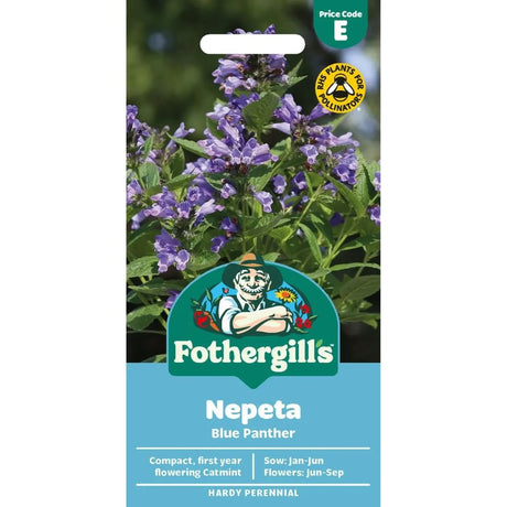 Mr Fothergill's Nepeta Blue Panther Seeds - Old Railway Line Garden Centre