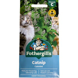 Mr Fothergill's Nepeta Catnip Seeds - Old Railway Line Garden Centre