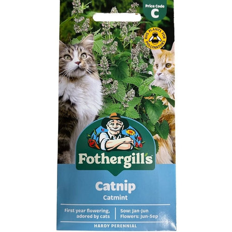Mr Fothergill's Nepeta Catnip Seeds - Old Railway Line Garden Centre