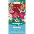 Mr Fothergills Nicotiana Sensation Mixed Seeds - Old Railway Line Garden Centre