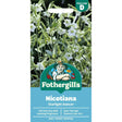 Mr Fothergill's Nicotiana Starlight Dancer Flower Seeds - Old Railway Line Garden Centre