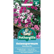 Mr Fothergill's Osteospermum Daisy Mae Mixed Seeds - Old Railway Line Garden Centre